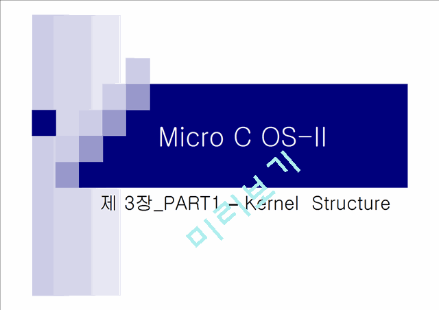 Kernel  Structure   (1 )